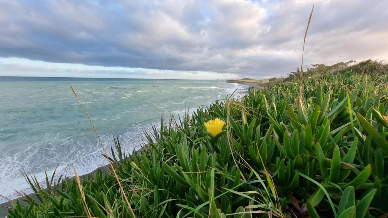 Kingsdown Manor B&B Timaru Eksteriør bilde